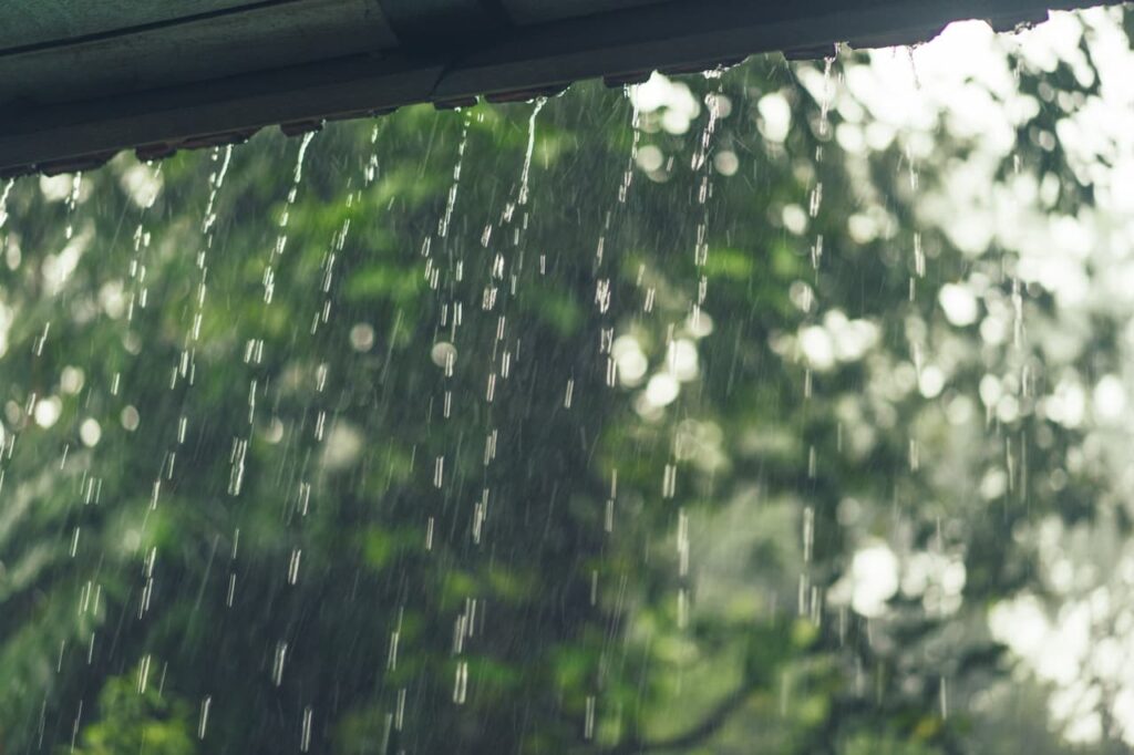 récupérer l'eau de pluie